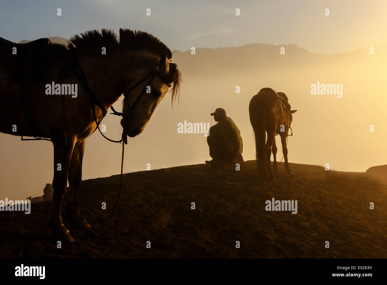 Silhouettes of men and the horses on the top of the hill with misty atmosphere Stock Photo