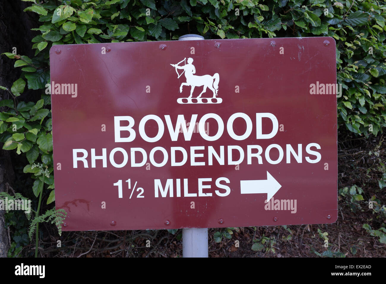 Bowood House Gardens Rhododendrons Sign Stock Photo