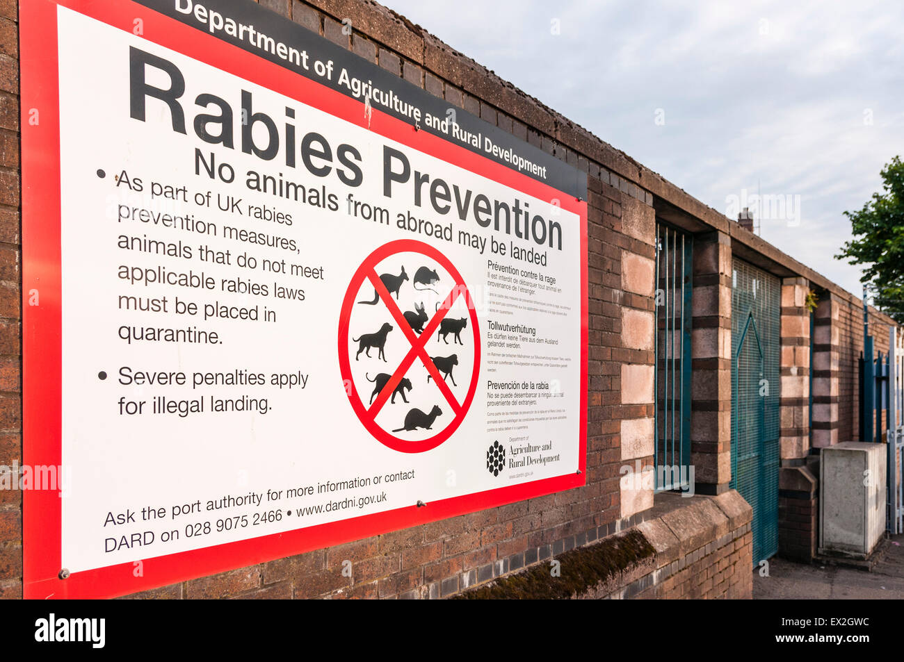 Sign warning people not to bring animals into the UK to prevent rabies Stock Photo - Alamy Sign warning people not to bring animals into the UK to prevent rabies Stock Photo - Alamy