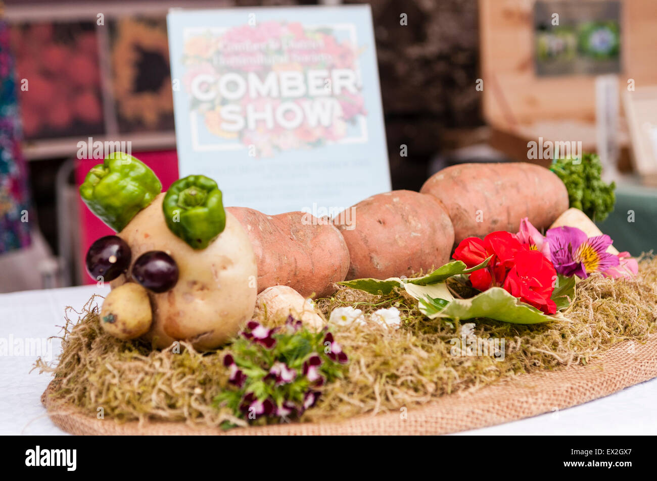 A snake/caterpillar made out of potatoes at the Comber Potato Festival, Northern Ireland Stock Photo