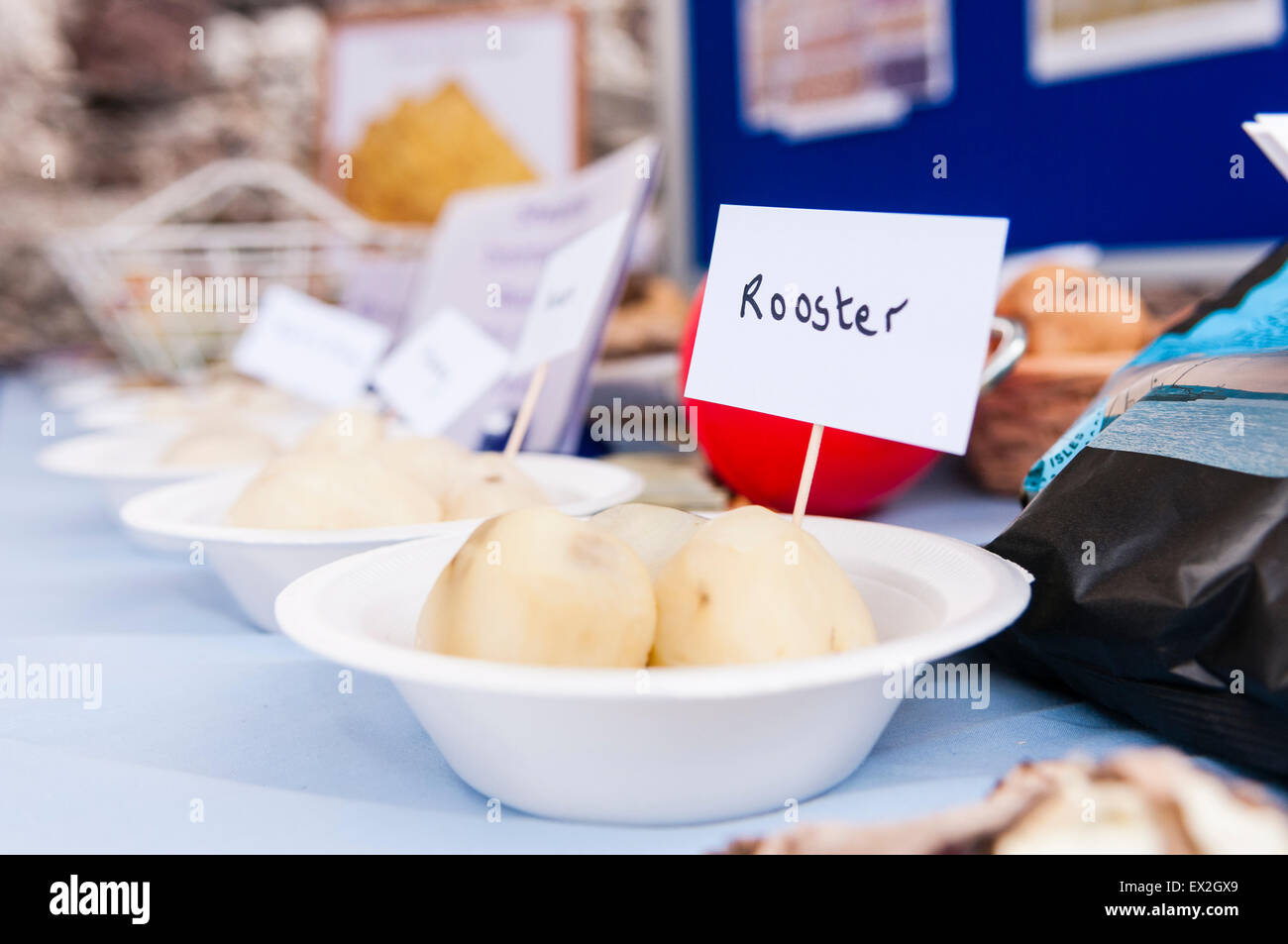 Rooster potatoes on display at a food fair. Stock Photo