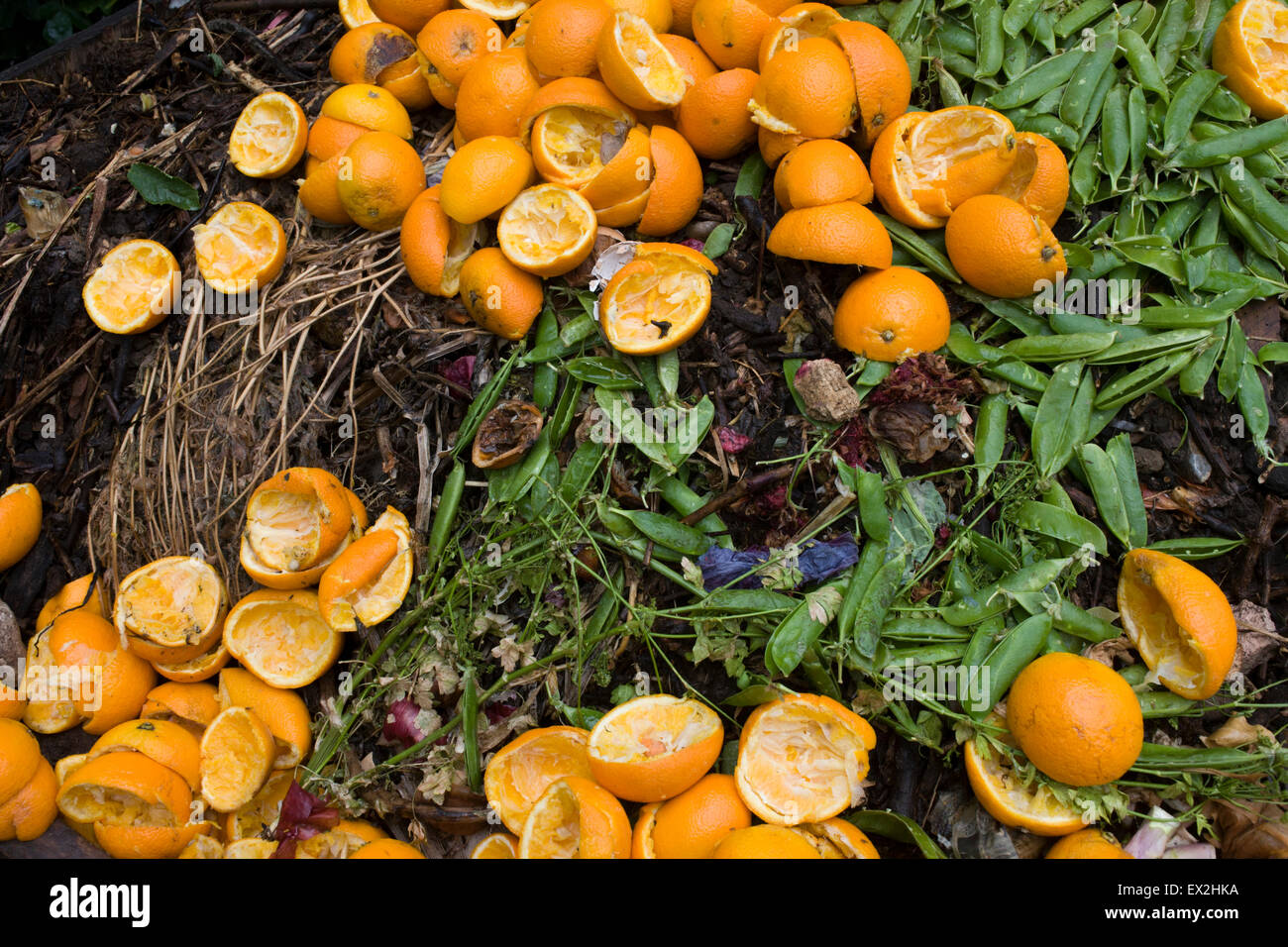 Compost Fruit And Vegetables Stock Photos & Compost Fruit And