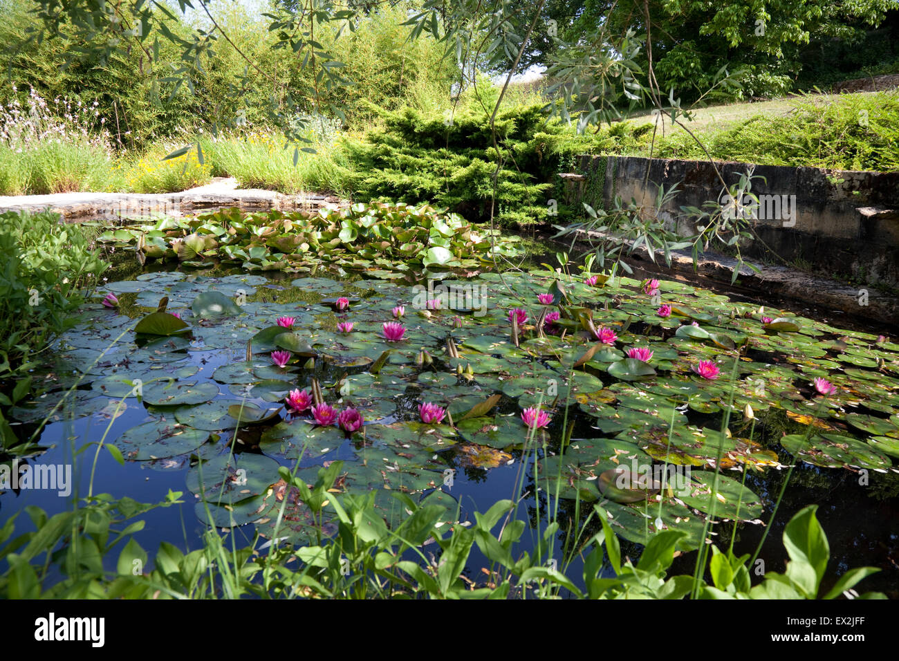 Les jardins d'eau, Carsac Dordogne France water gardens Stock Photo - Alamy