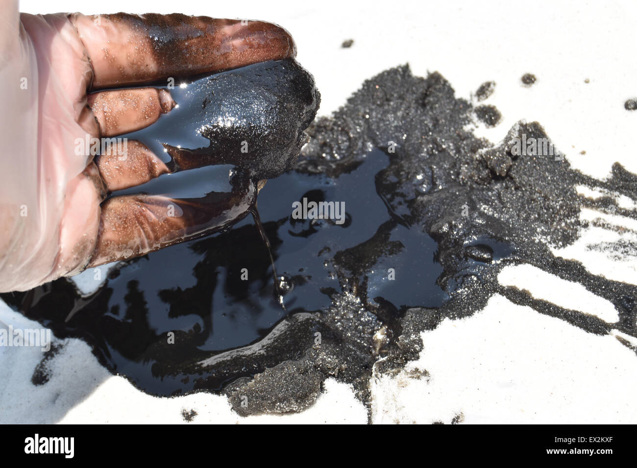 oil spill on white sand with gloved hand Stock Photo Alamy