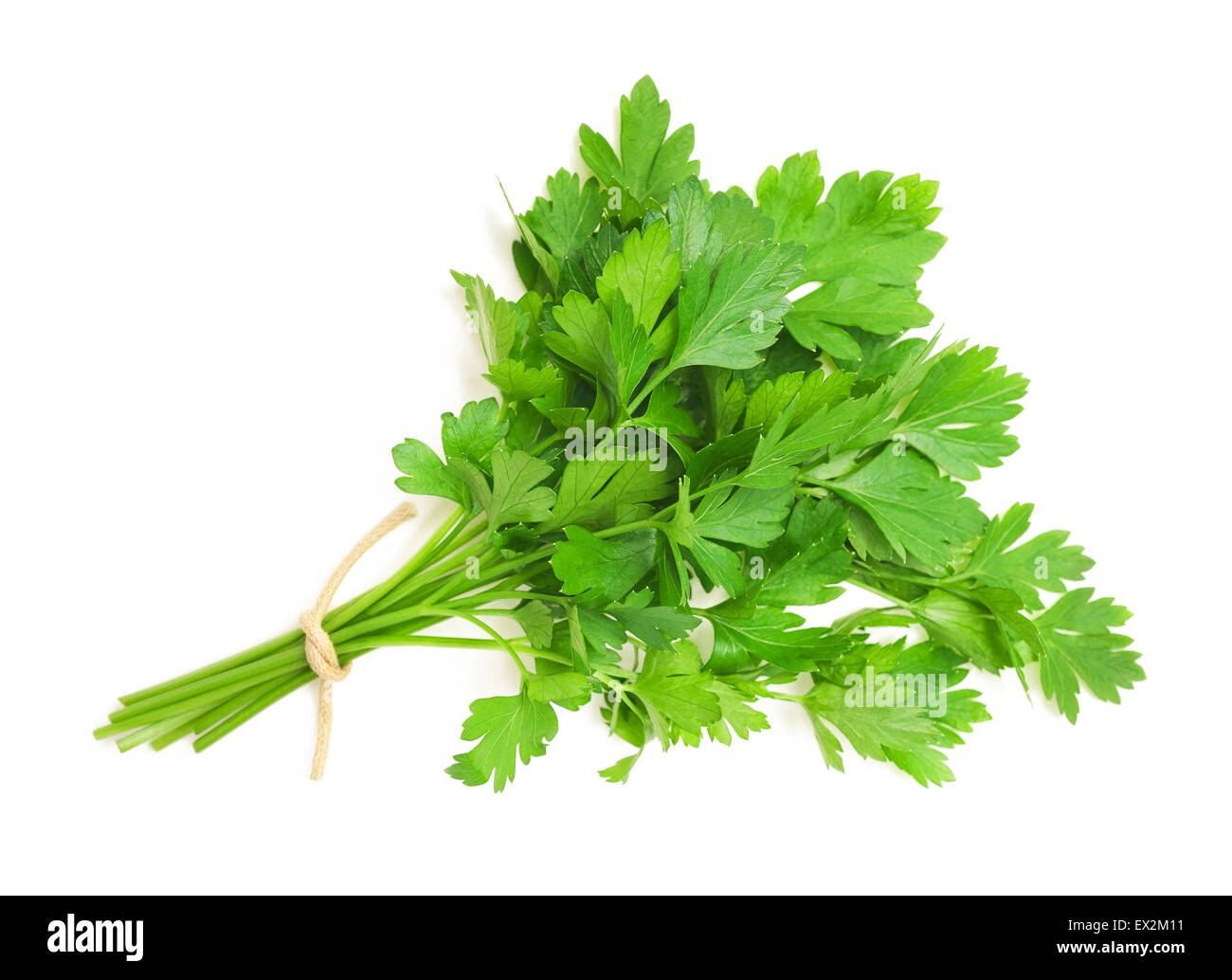 parsley bunch isolated on white background Stock Photo Alamy
