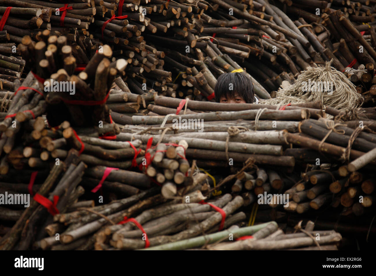 Labourer works timber processing hi-res stock photography and images ...