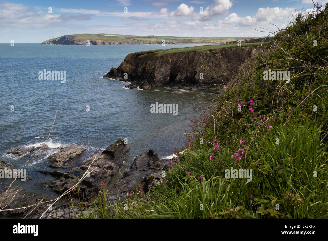 The Pembrokeshire coast, near Newport, Pembrokeshire, Wales Stock Photo