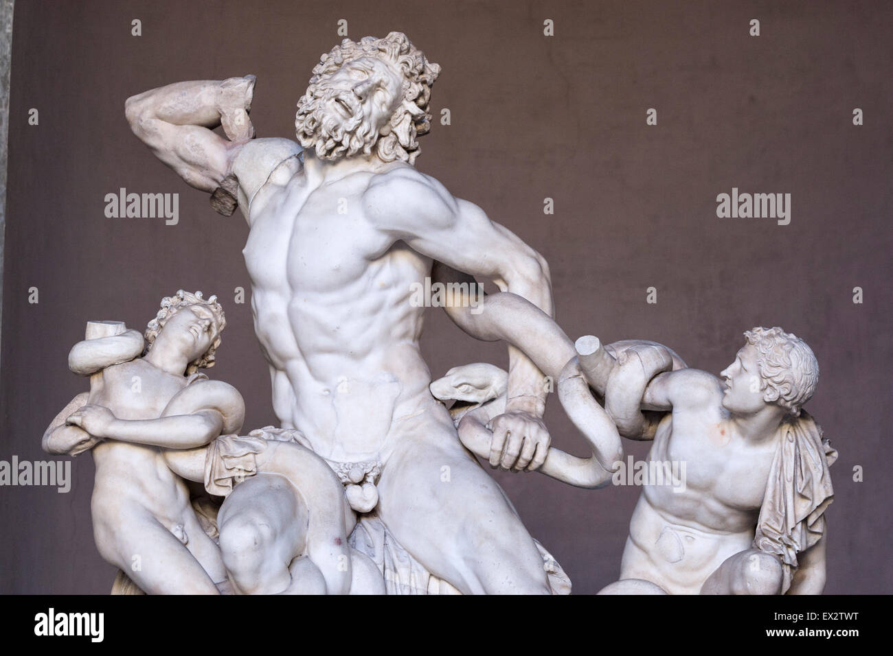 Laocoon and His Sons Antiphas and Thymbraeus. Museo Pio-Clementino, Vatican Museums, Stock Photo
