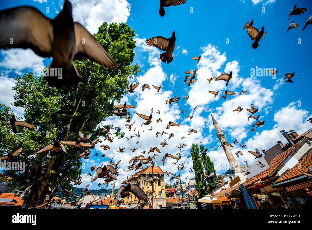 Old square with flying pigeons in Sarajevo Stock Photo