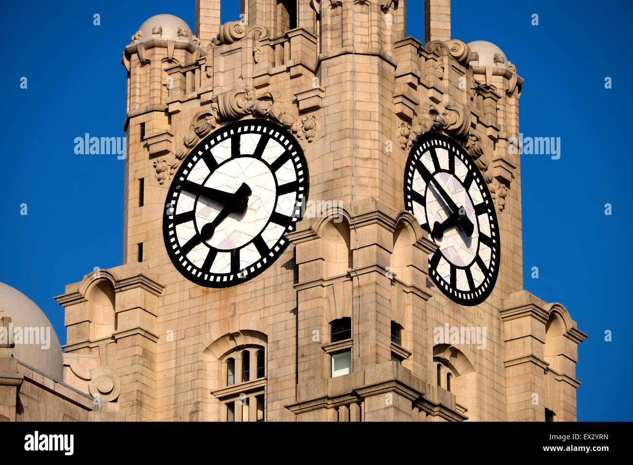 Royal Liver Building Clock Liverpool UK Sunny Blue Stock Photo Alamy