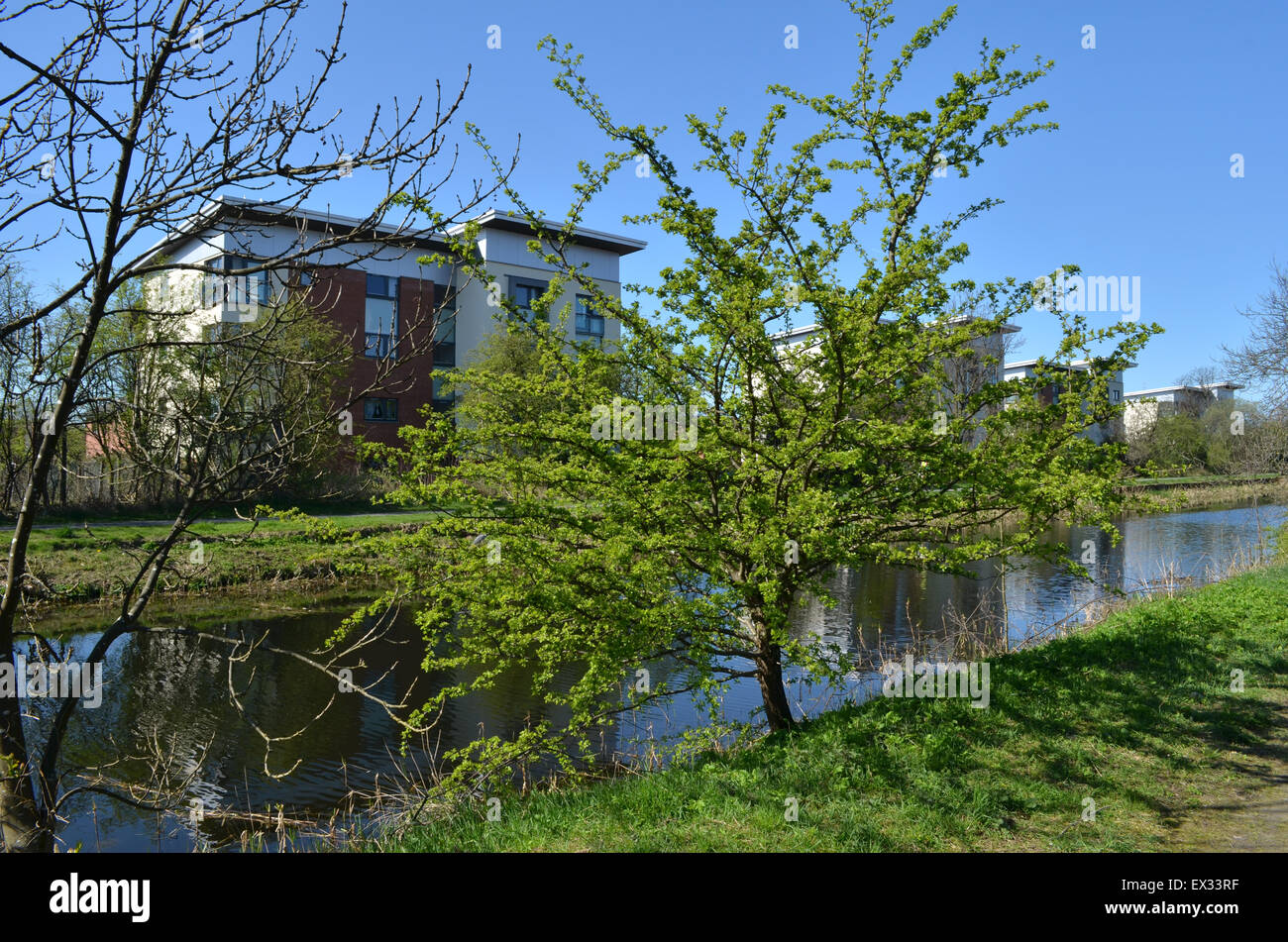 The Forth & Clyde Canal at Dalmuir, Clydebank, Scotland Stock Photo