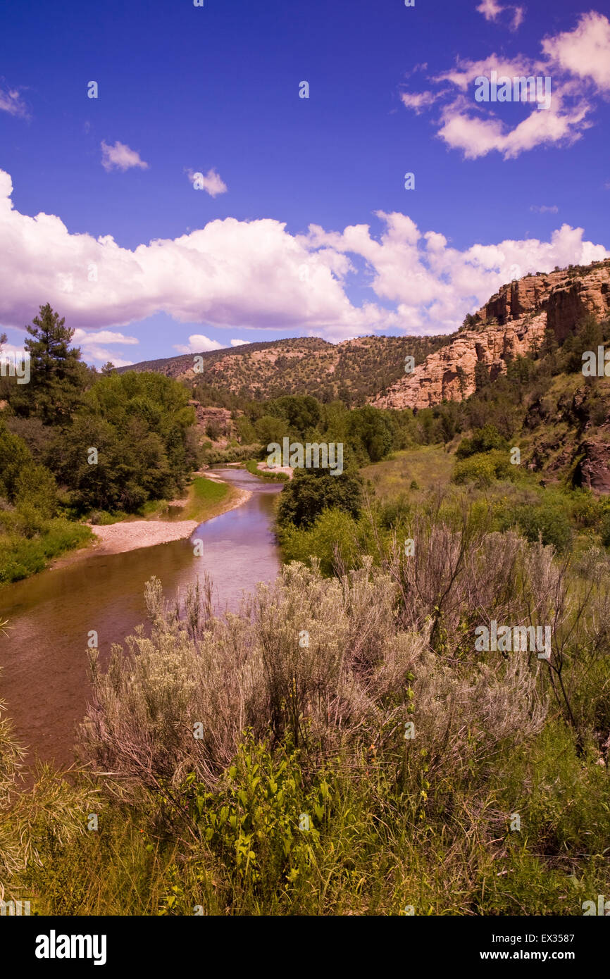 The Gila River, last of the Southwest's major free-flowing rivers 