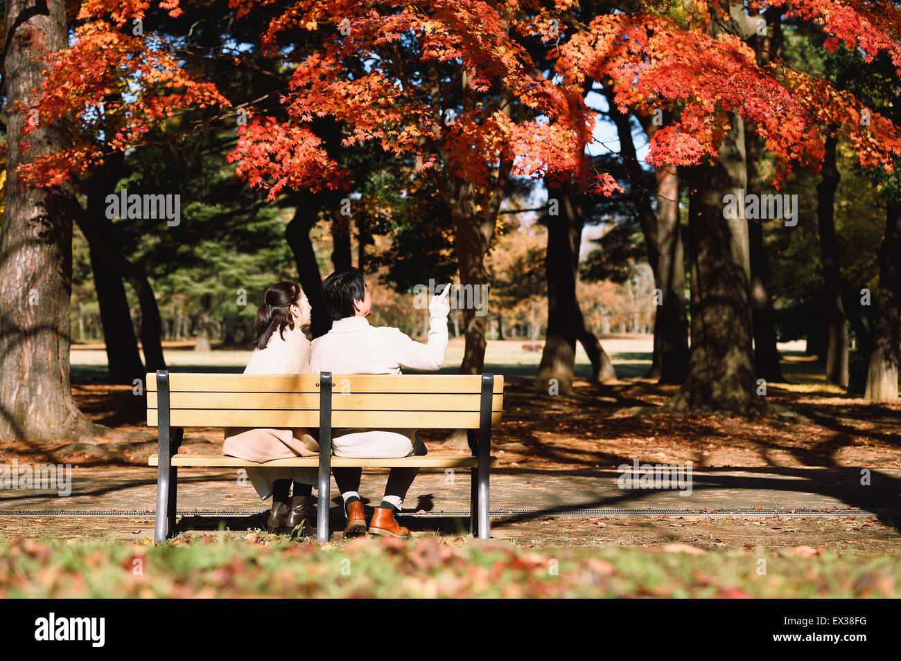 Senior Japanese couple sitting on a bench in a city park Stock Photo ...