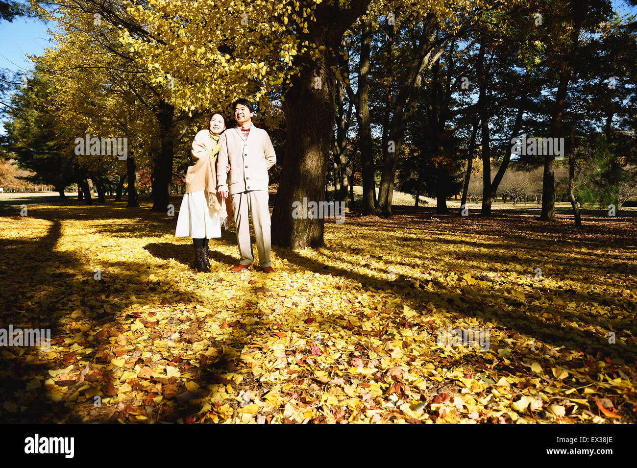 Senior Japanese couple in a city park in Autumn Stock Photo - Alamy