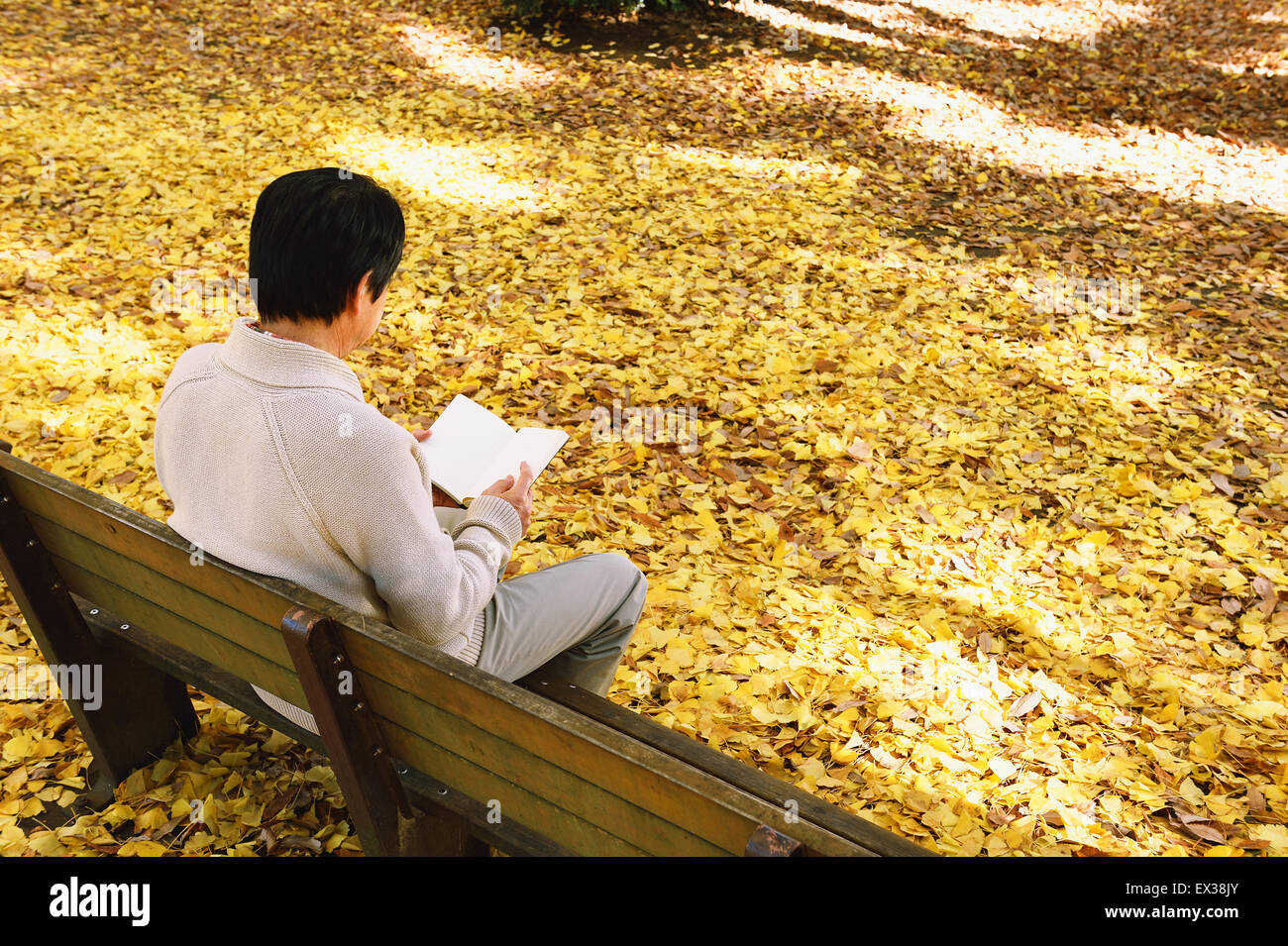 Senior Japanese man sitting on a bench with a book in a city park in Autumn Stock Photo