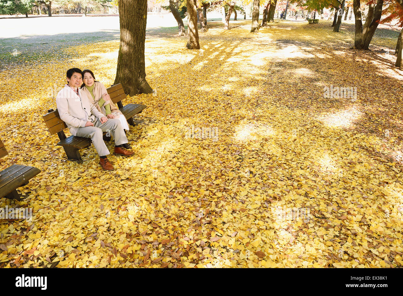 Senior Japanese couple sitting on a bench in a city park Stock Photo ...