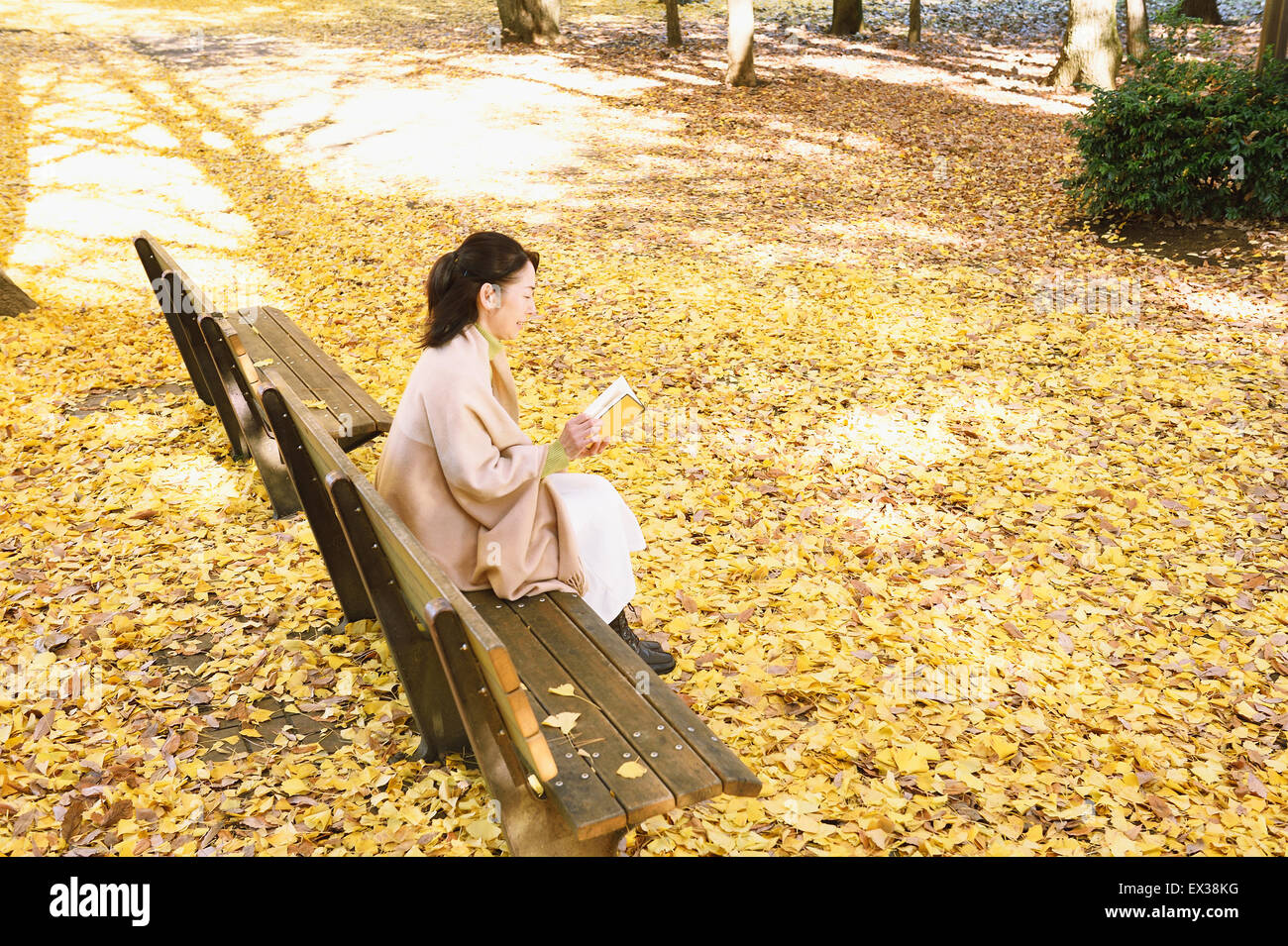 Senior Japanese woman sitting on a bench with a book in a city park in Autumn Stock Photo
