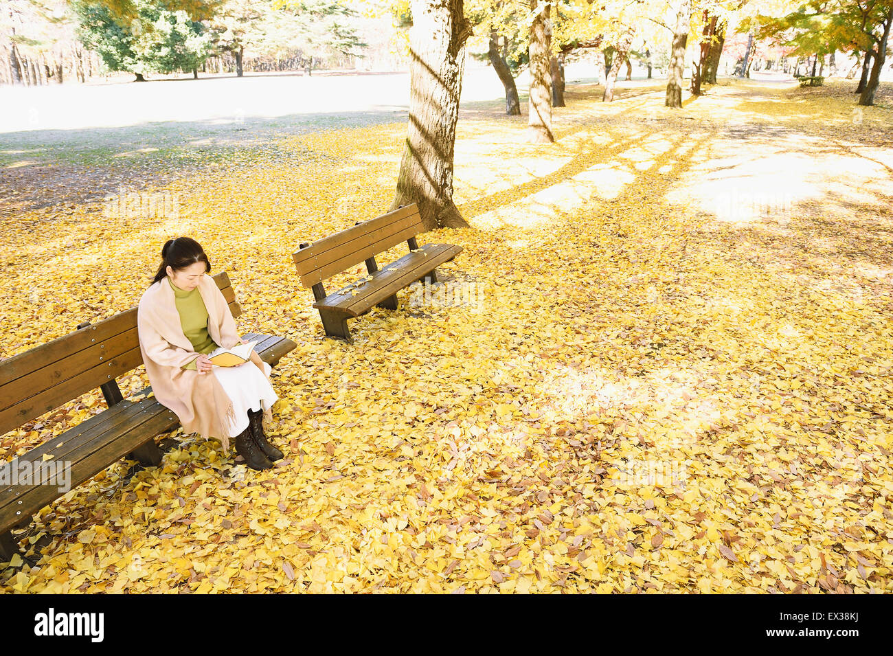 Senior Japanese woman sitting on a bench with a book in a city park in Autumn Stock Photo