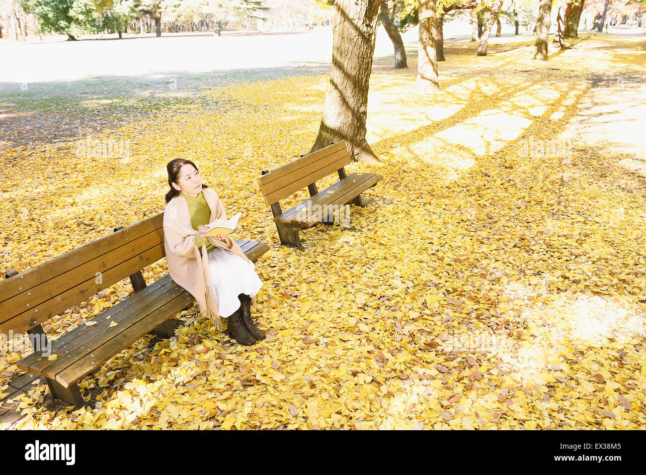 Senior Japanese woman sitting on a bench with a book in a city park in ...