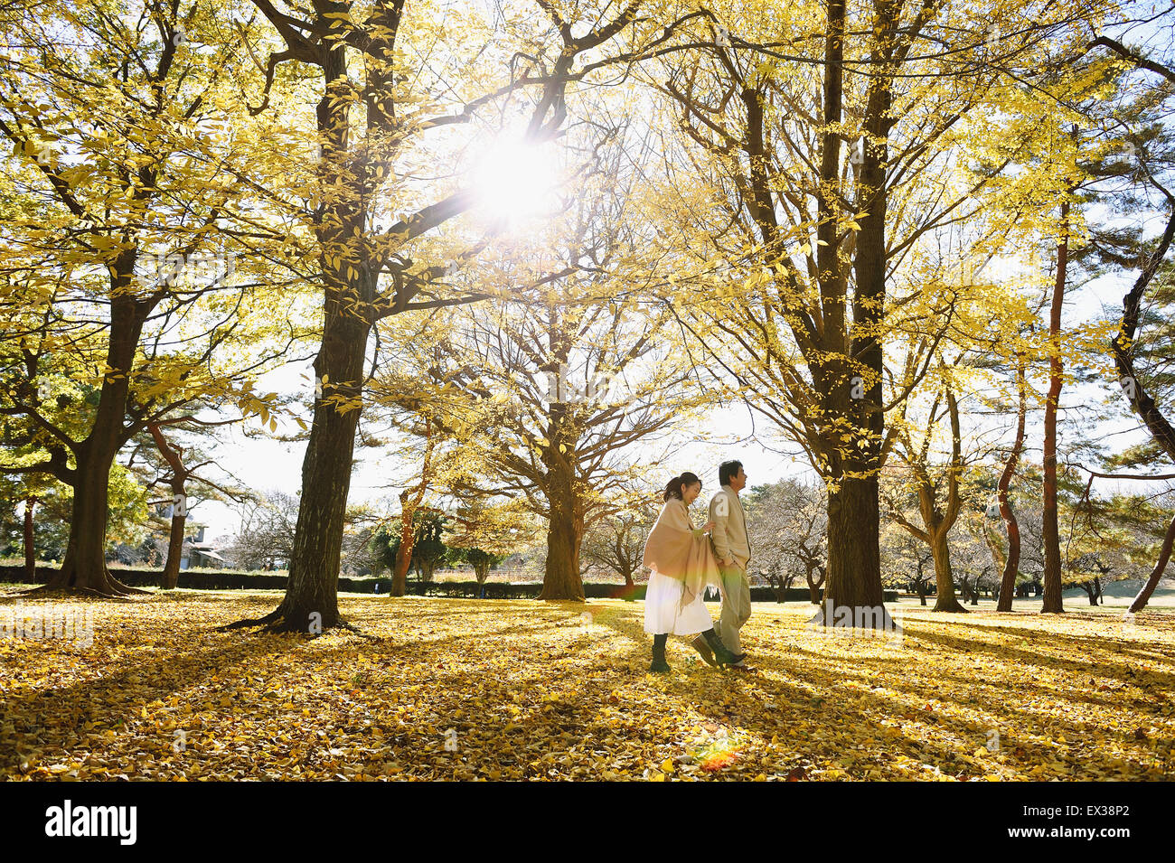 Senior Japanese couple in a city park in Autumn Stock Photo - Alamy