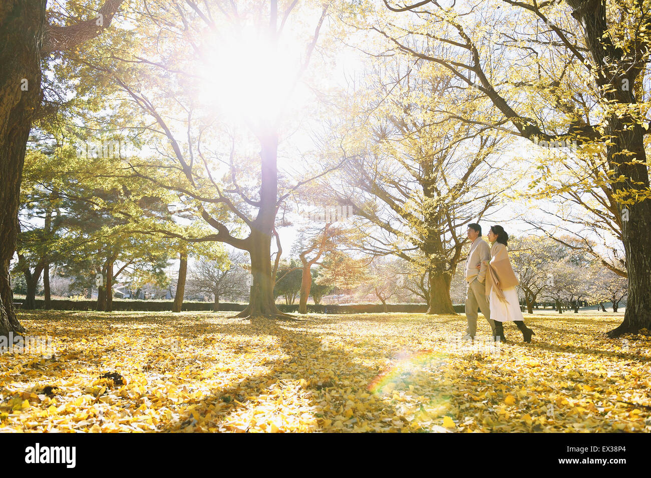 Senior Japanese couple in a city park in Autumn Stock Photo - Alamy
