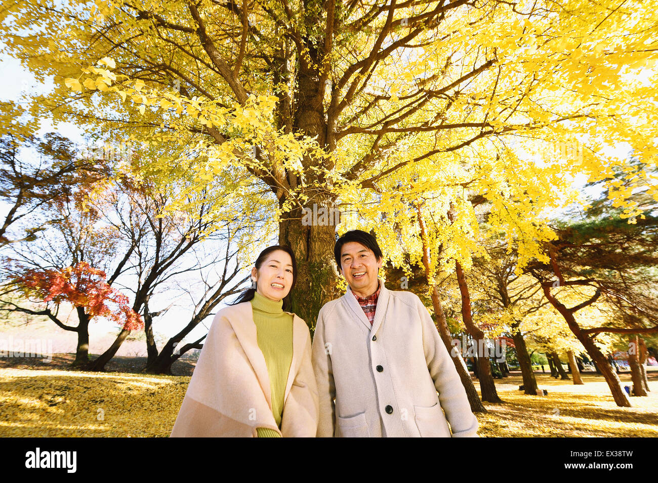 Senior Japanese couple in a city park in Autumn Stock Photo - Alamy