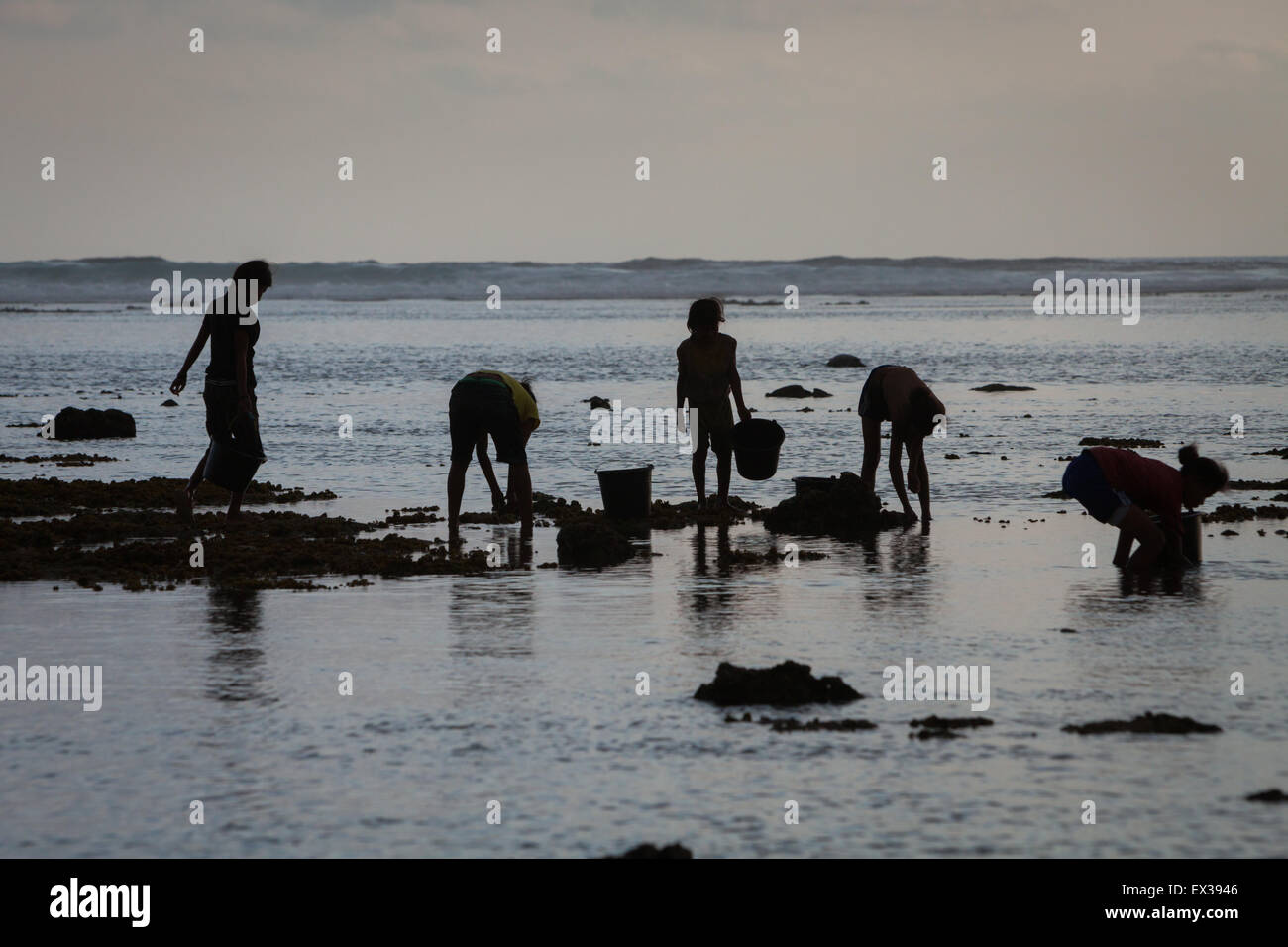 Young women silhouetted as they are collecting sea products during low tide—an alternative, seasonal food source in Sumba Island, Indonesia. Stock Photo