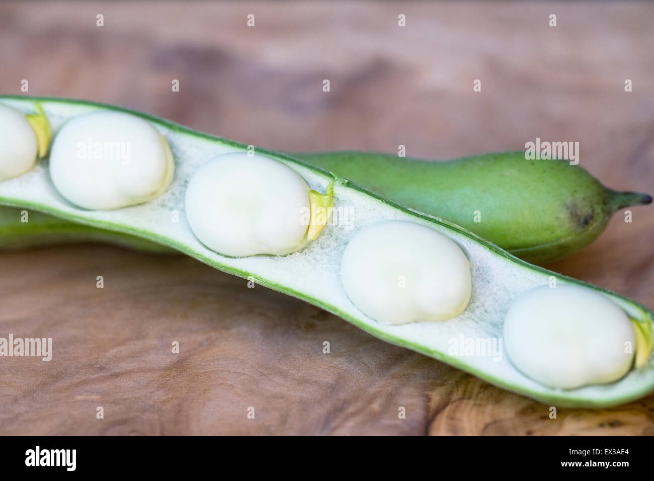 Vicia faba. Broad beans on a wooden board. Stock Photo