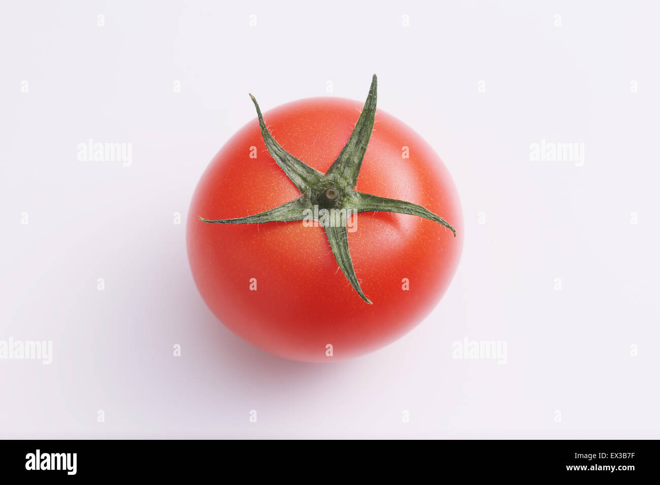 Tomato calyx hires stock photography and images Alamy