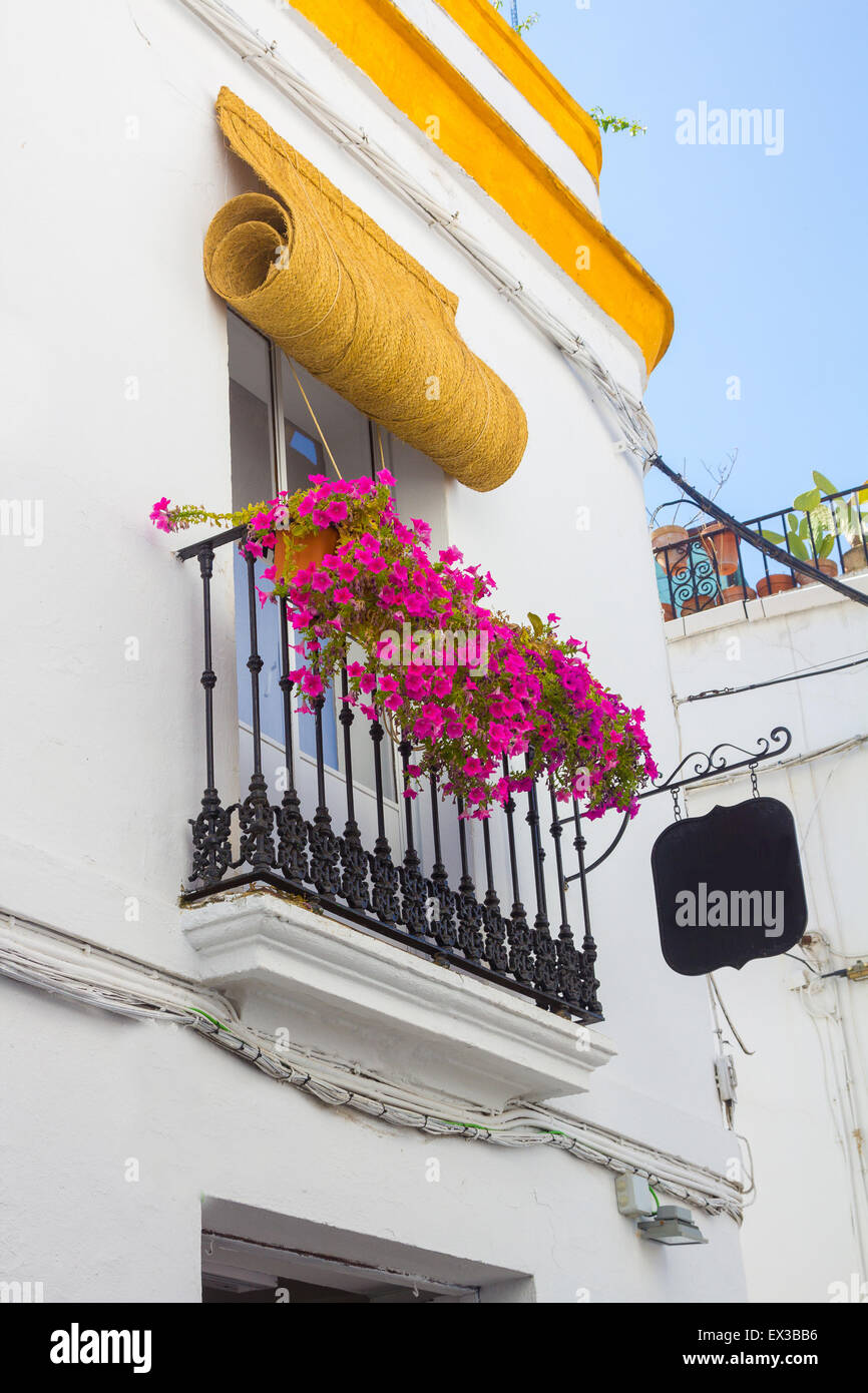 Typical windows with grilles and decorative flowers in the city of Cordoba, Spain Stock Photo