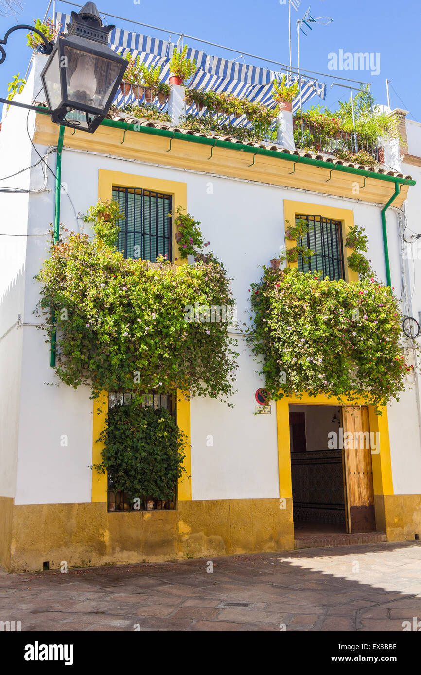 Typical French windows with grills and decorative flowers in the city of Cordoba, Spain Stock Photo