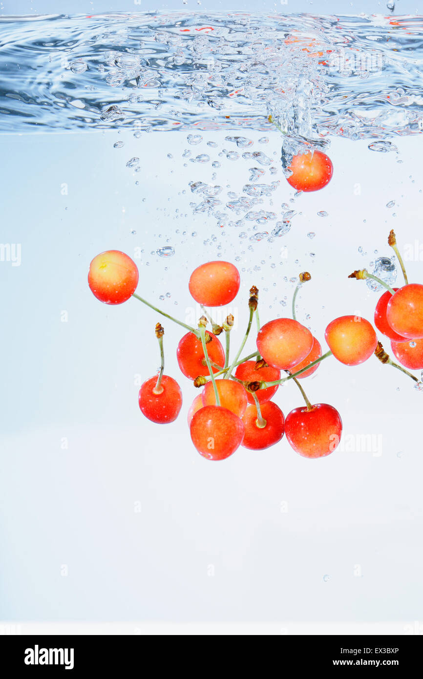 Cherries in water Stock Photo Alamy