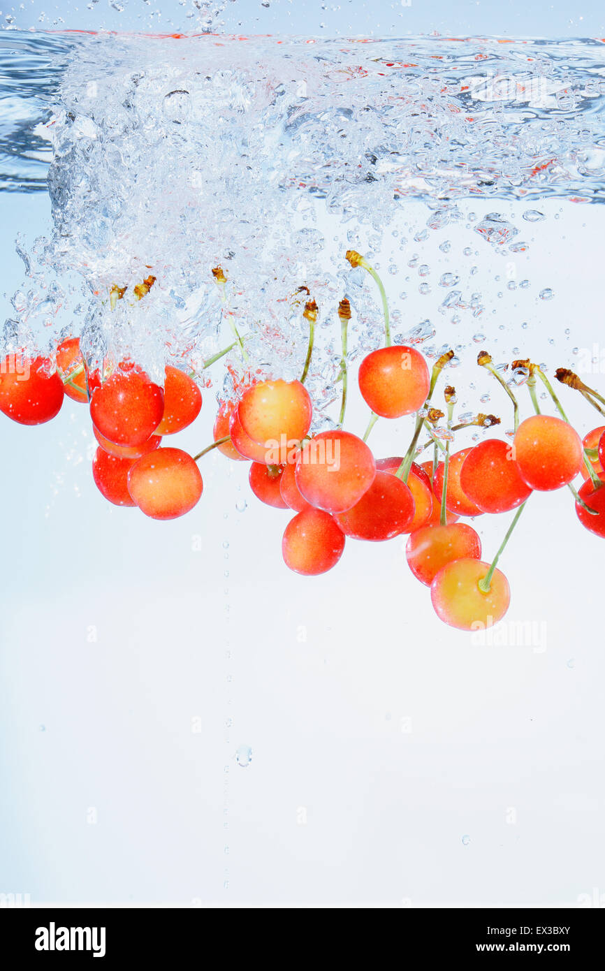 Cherries in water Stock Photo Alamy