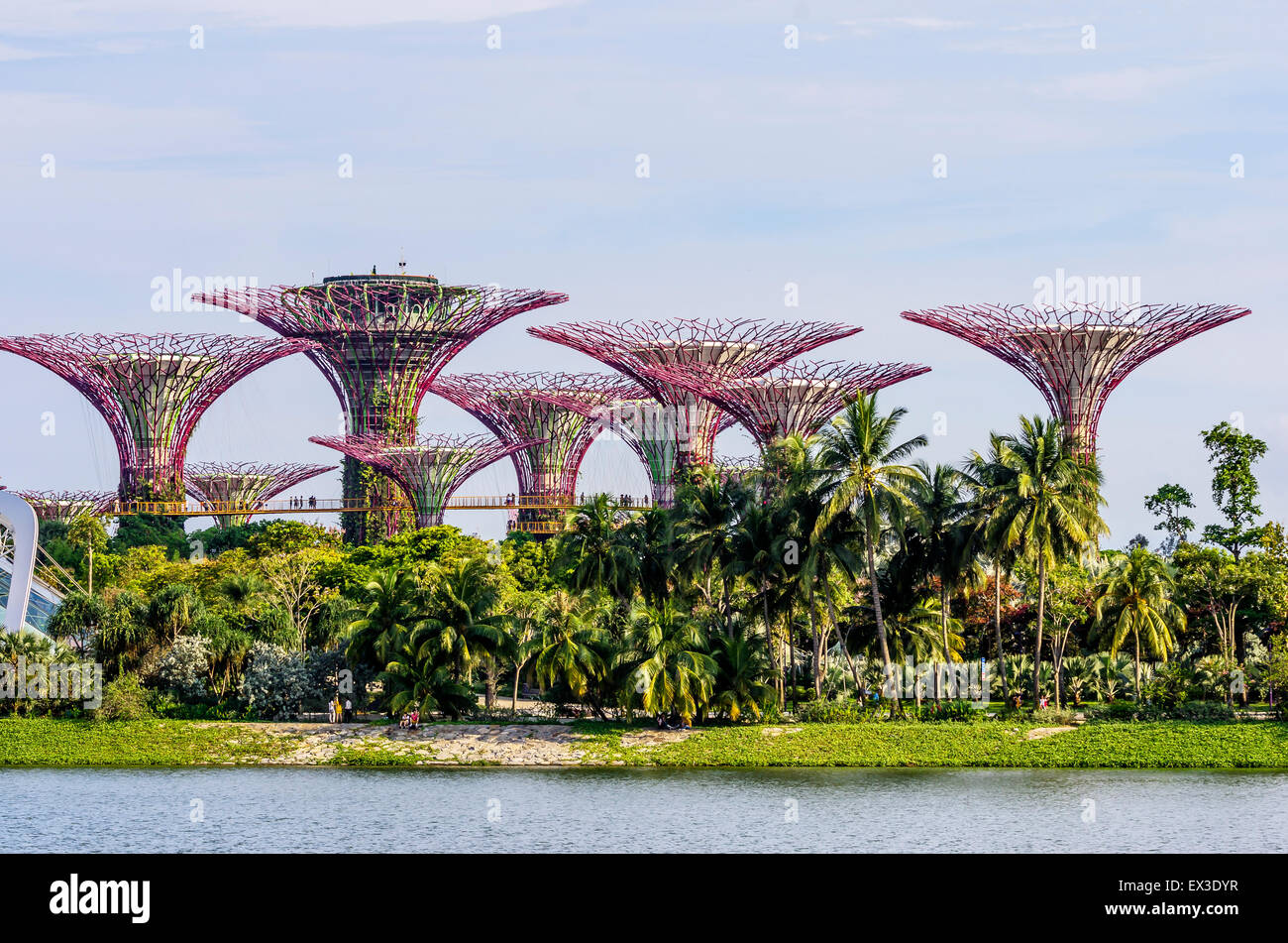 Gardens by the bay, singapore hi-res stock photography and images - Alamy