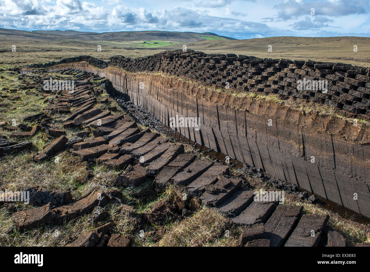 Cut peat on a peat bog, Yell, Shetland Islands, Scotland, United Kingdom Stock Photo Alamy