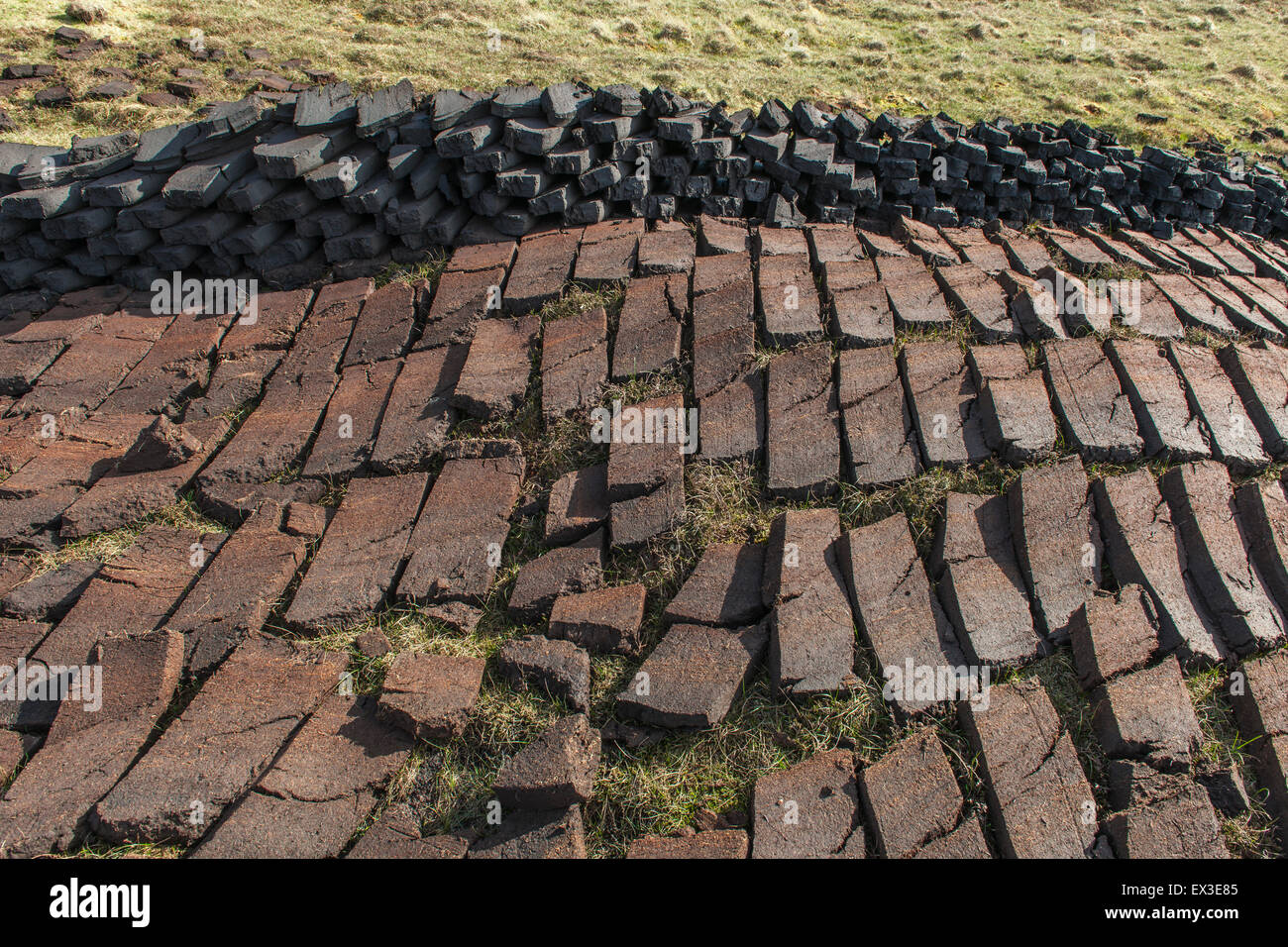 Cut peat on a peat bog, Yell, Shetland Islands, Scotland, United