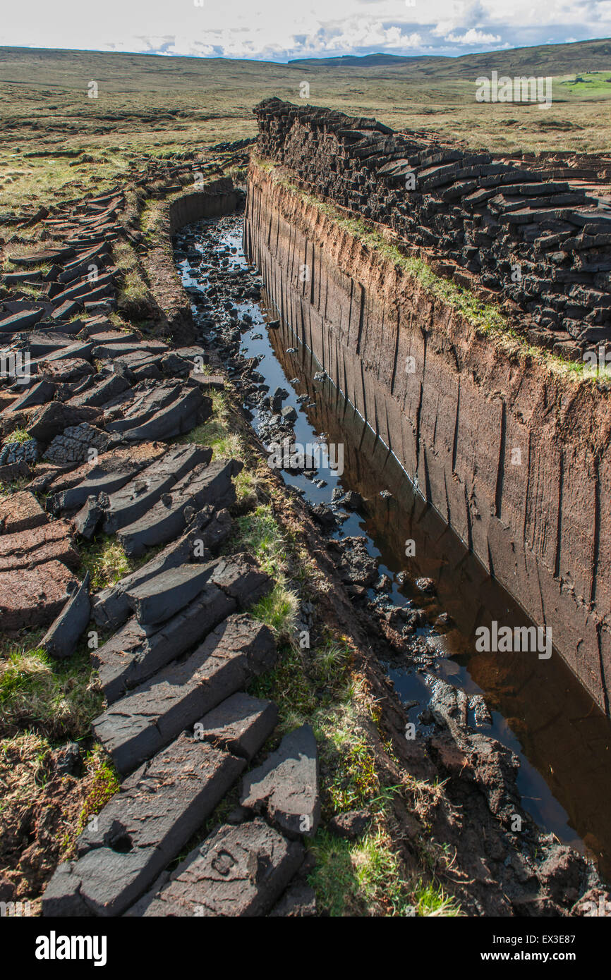Cut peat on a peat bog, Yell, Shetland Islands, Scotland, United Kingdom Stock Photo Alamy