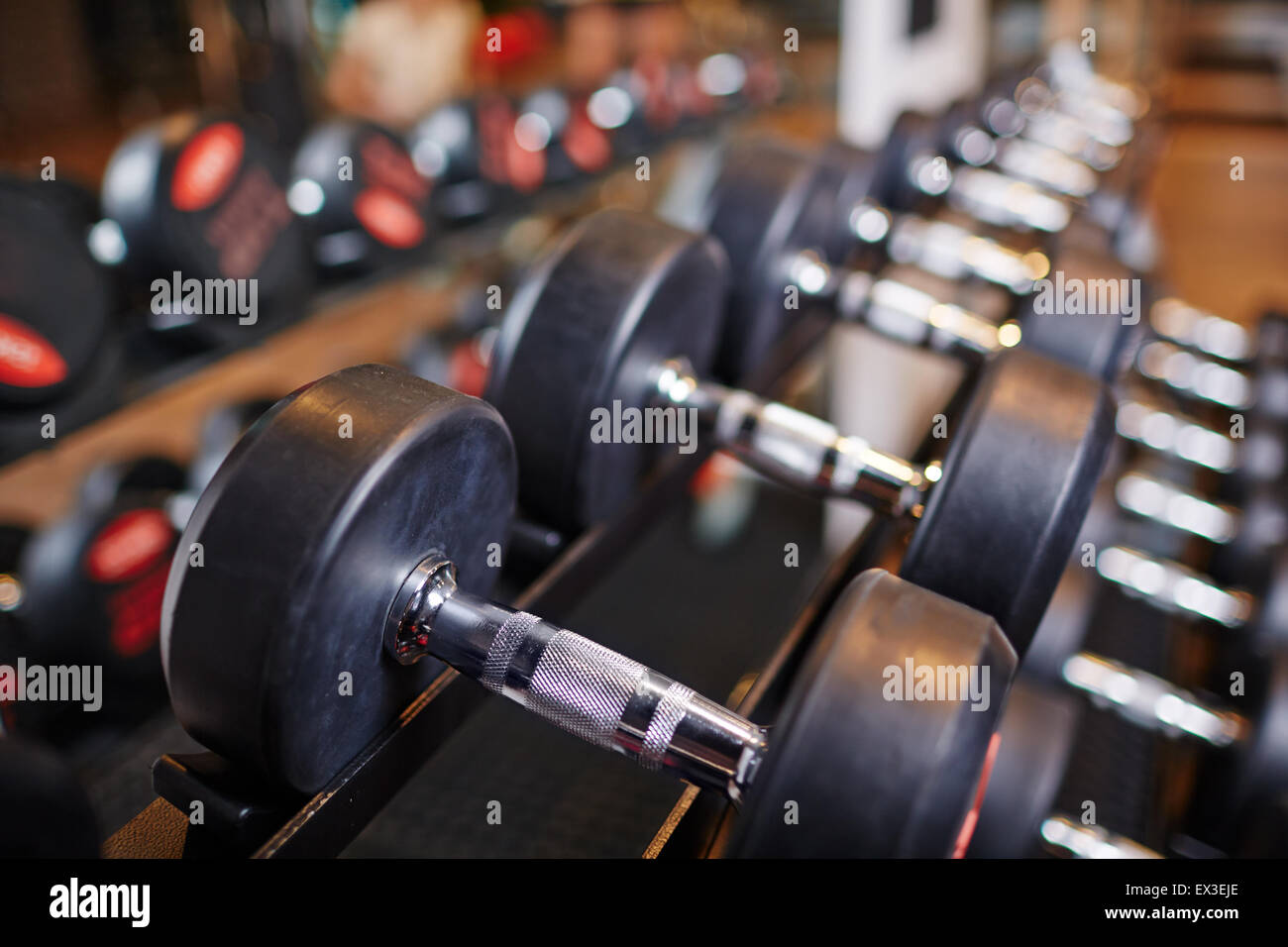 Row of heavy barbells Stock Photo Alamy