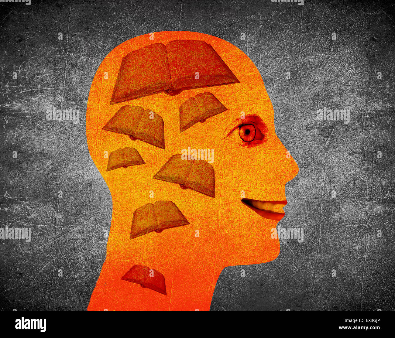 reading book illustration concept with human head and books Stock Photo