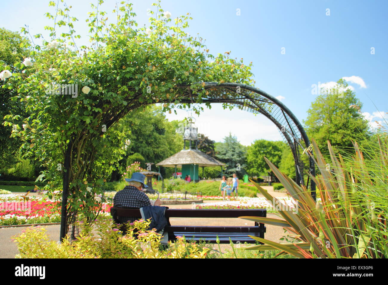A man sits on a bench beneath a rose arch on a hot summer's day in Hall Leys Park, Matlock, Derbyshire Dales, England UK Stock Photo