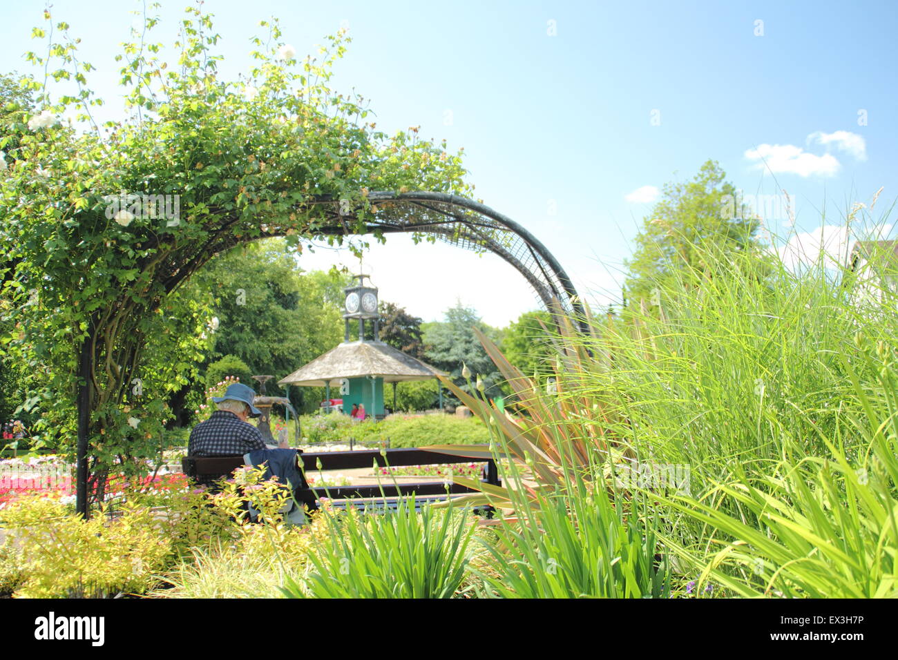 A man reads on a bench beneath a rose arch on a hot summer's day in Hall Leys Park, Matlock, Derbyshire Dales, England UK Stock Photo