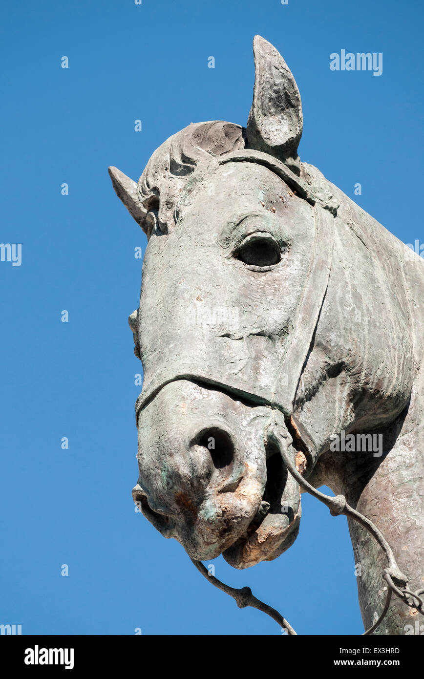 Close-up of Horse Head, Statue of Fernando I (Ferdinand I), King of Aragon, Antequera, Andalusia, Spain Stock Photo