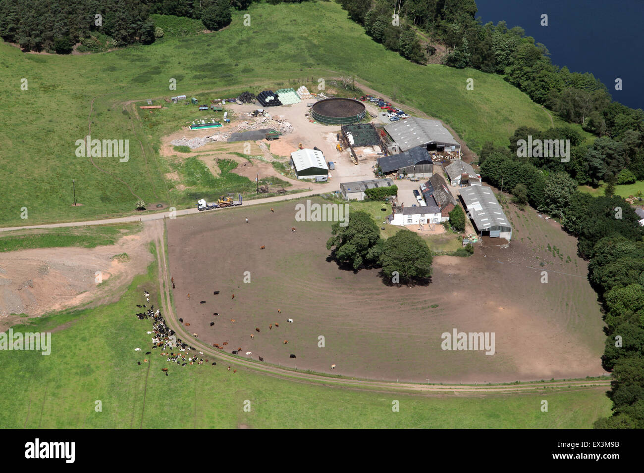 aerial view of a Cheshire dairy farm with cows and farm buildings, UK