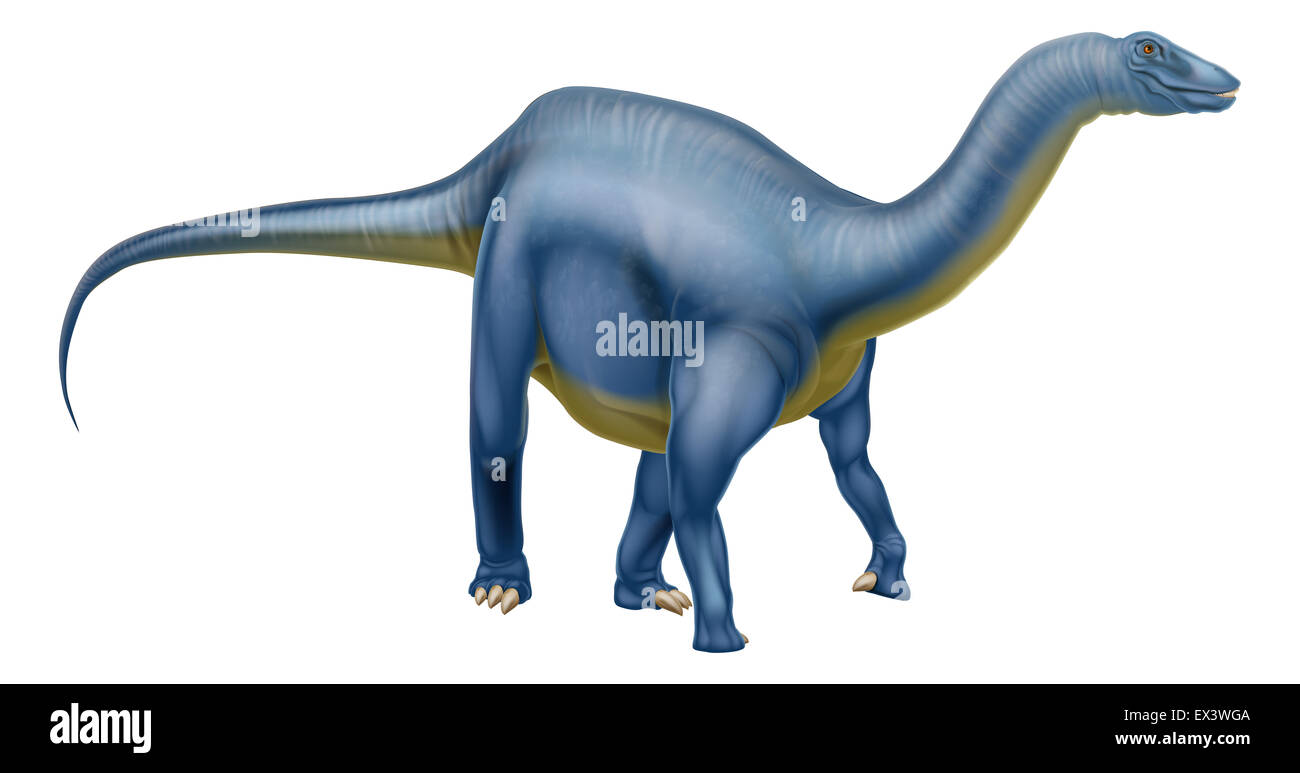 An illustration of a Diplodocus dinosaur from the sauropod family like brachiosaurus and other long neck dinosaurs. What we used Stock Photo