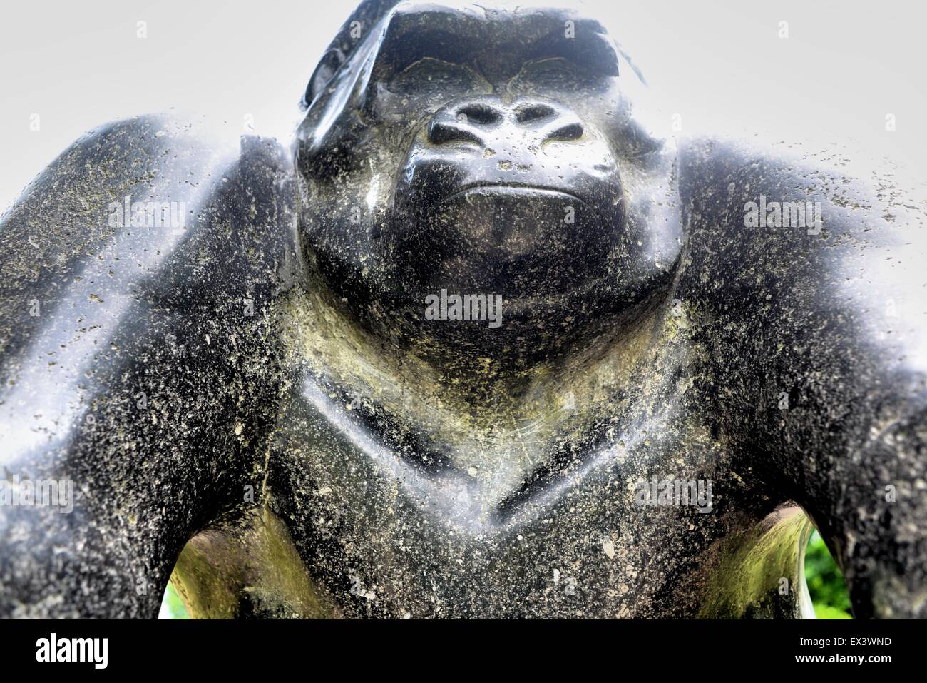 Gorilla statue looking proud in Crystal Palace Park, London. Stock Photo