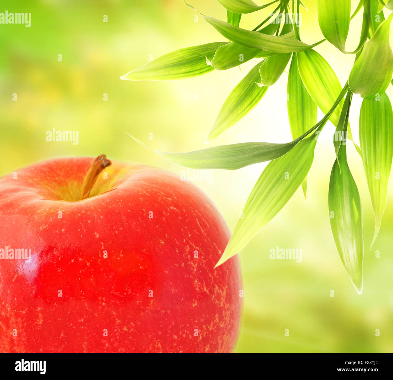 Red apple over abstract green background Stock Photo - Alamy