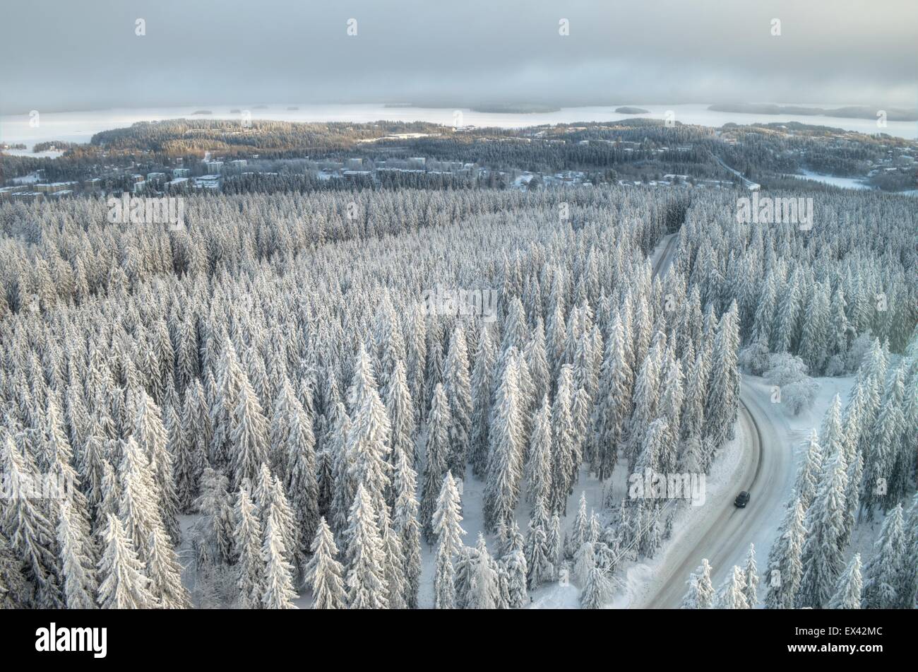 aireal winter 