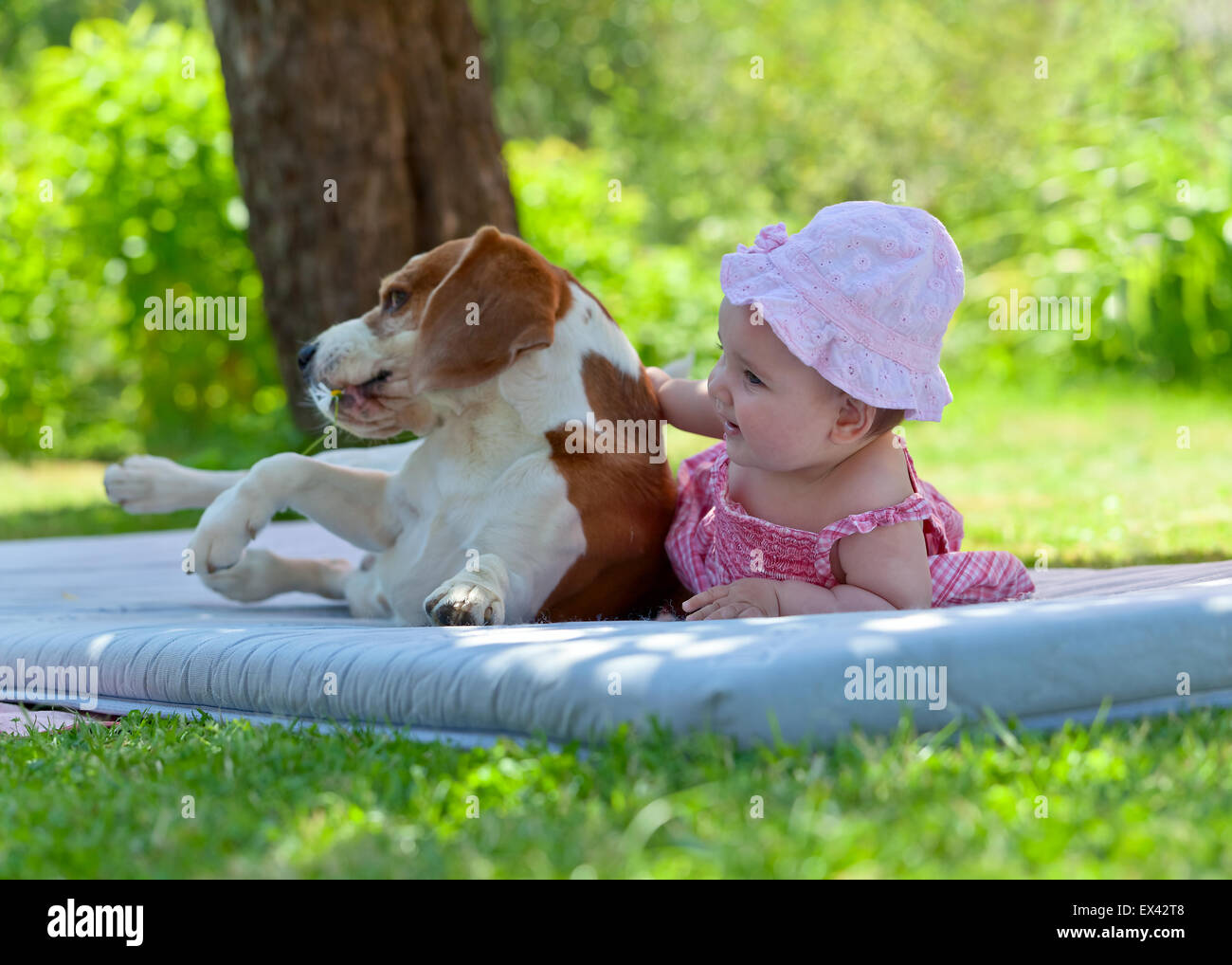 little girl plays with a dog in the garden Stock Photo - Alamy