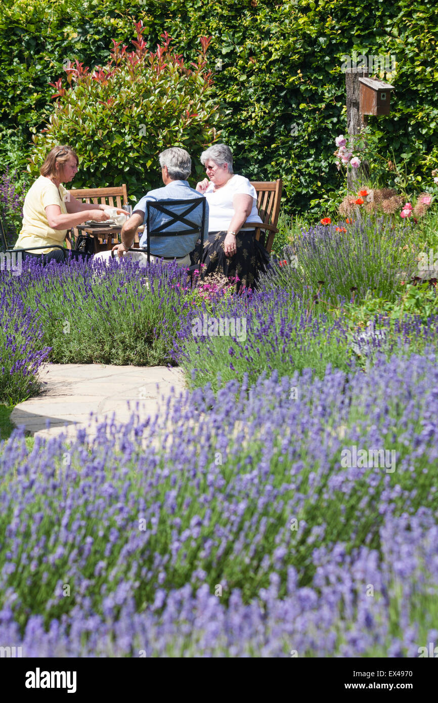 Tea rooms new forest hires stock photography and images Alamy
