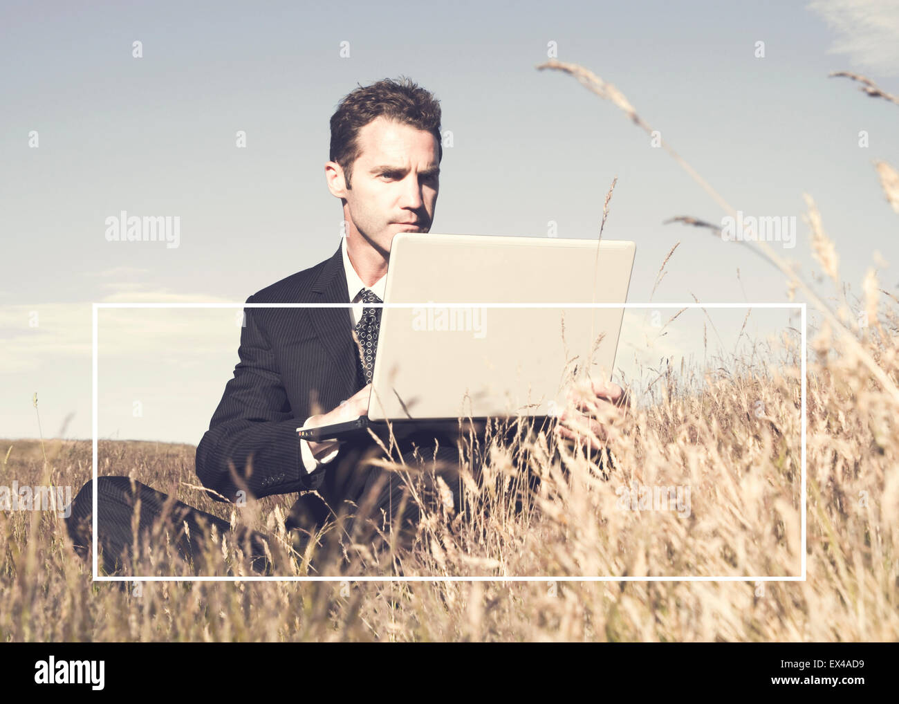 Conservation field office hi-res stock photography and images - Alamy
